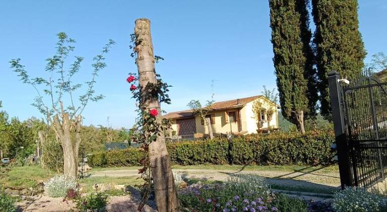Vacation home with BBQ & garden in Poggibonsi