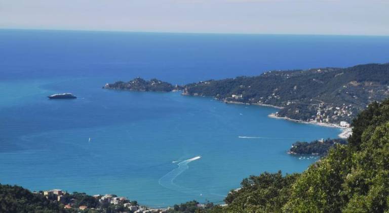 Hotel Montallegro in Chiavari