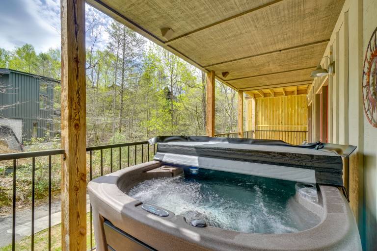Apartment  Gatlinburg