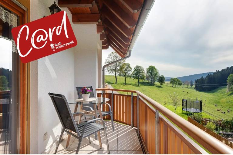 Ferienwohnung  Eisenbach (Hochschwarzwald)