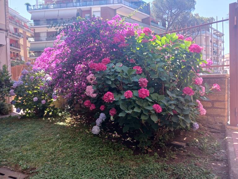foto5