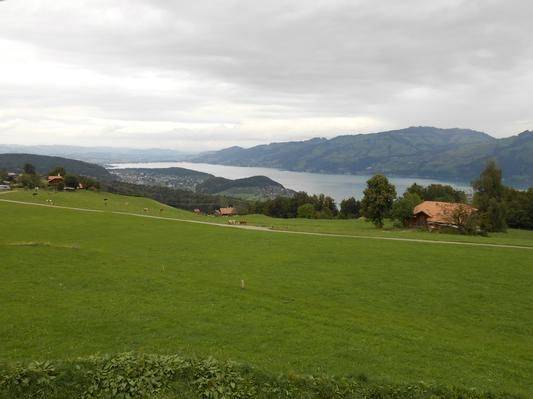 foto8