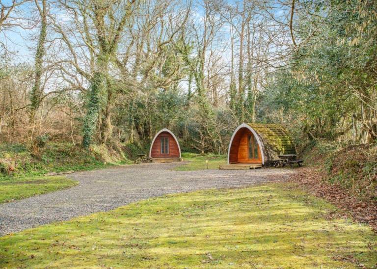 Bungalow  Wadebridge