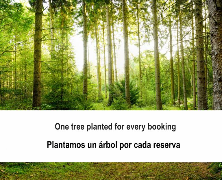 foto31