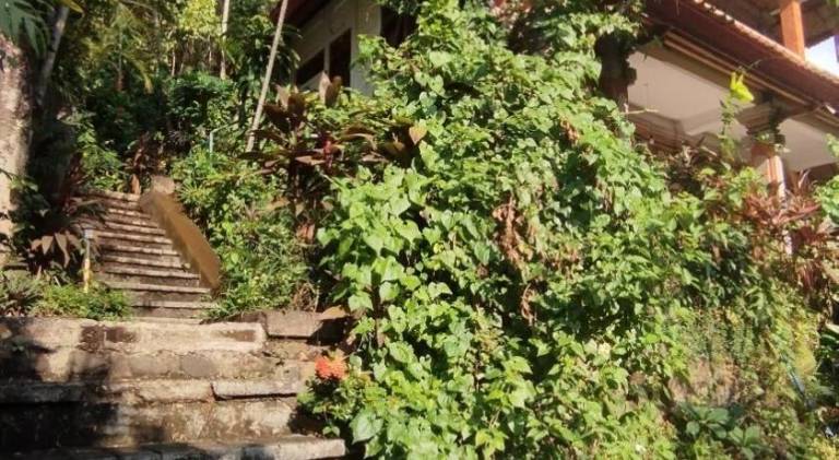foto44