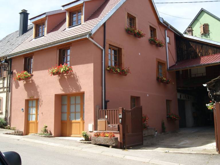 foto35