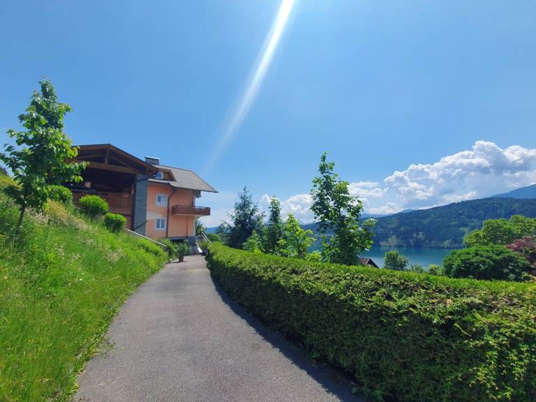 foto29