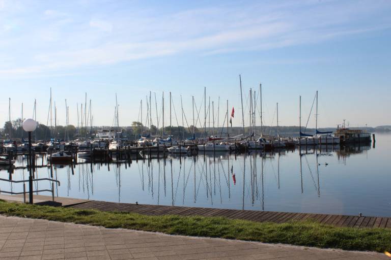 foto11