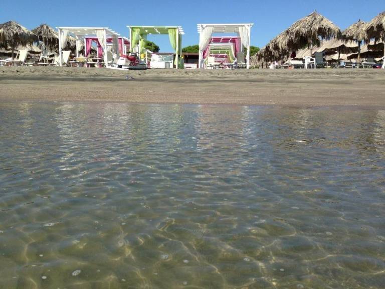 Beach Club Ippocampo — photo 3