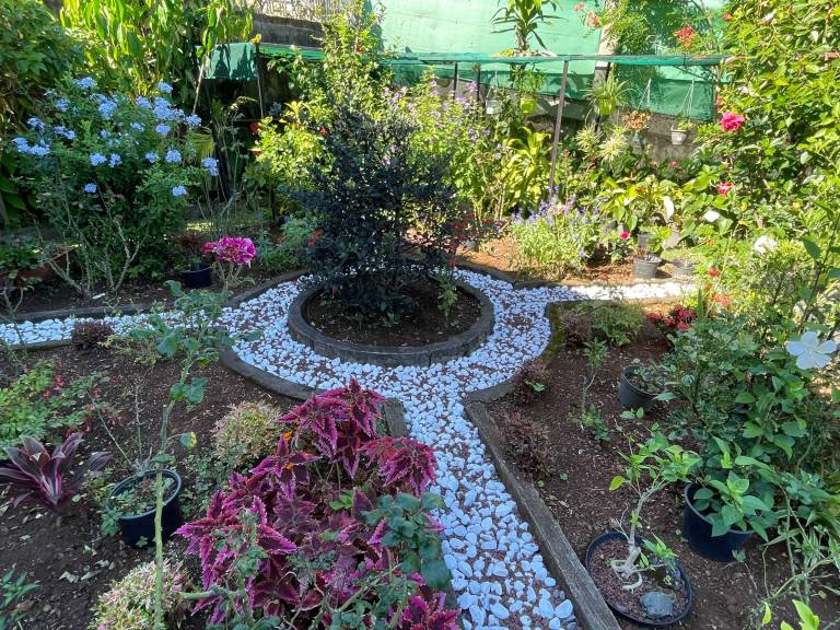 foto29