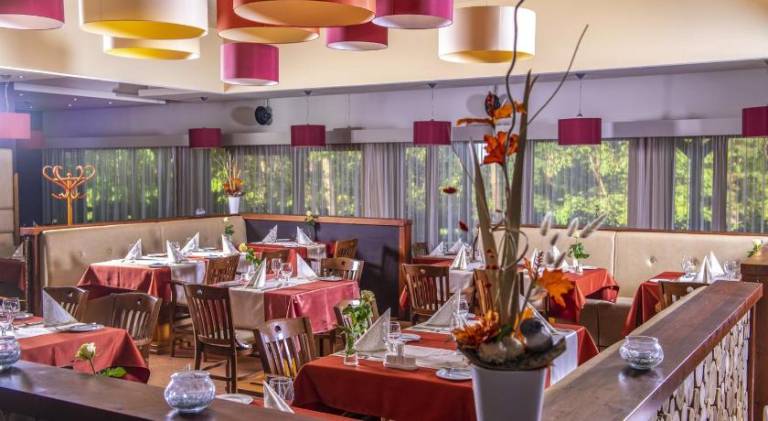 Erdospuszta Club Hotel — photo 4