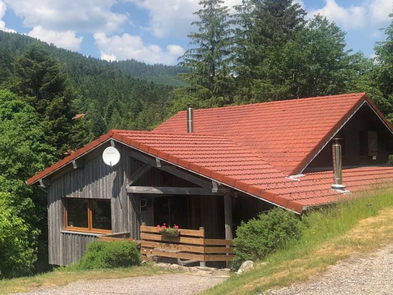Cozy Mountain Chalet Near La Bresse Ski, WiFi, Private Access, 2 Terraces, Pet-Friendly in Thann