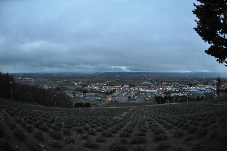 foto5
