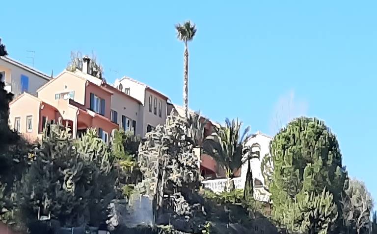 Charming Apartment with Panoramic Sea Views in Collioure — photo 3