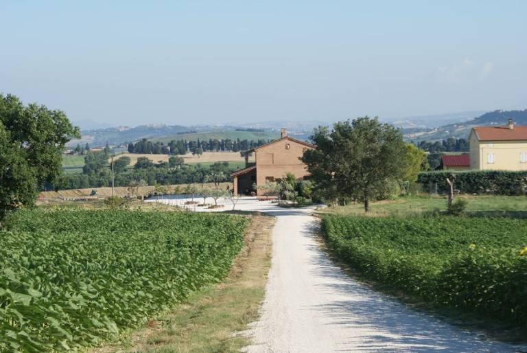 Camera privata Treia