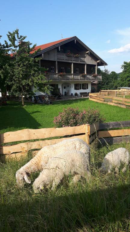 foto16