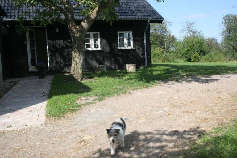 Bed & Breakfast Svendborg