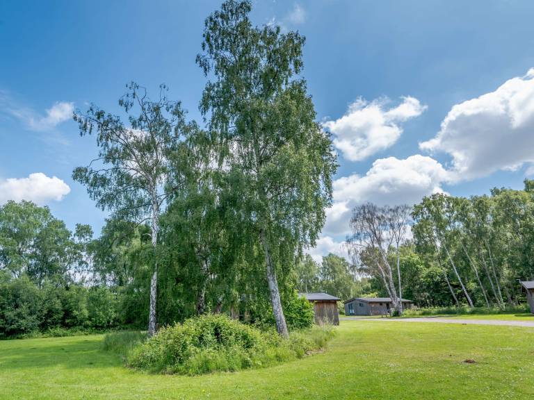 foto18
