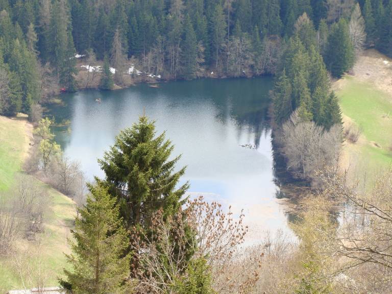 foto19