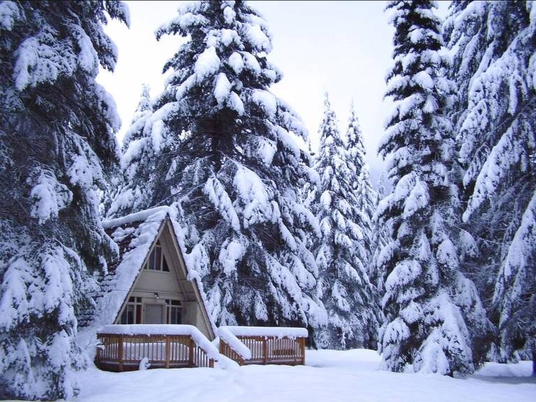Cabin  Rhododendron