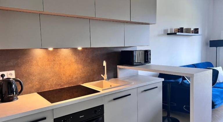 Apartment with 1 room for 4 persons — photo 4