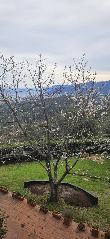 Bellavista Ranzi Bilocale in mezzo al verde