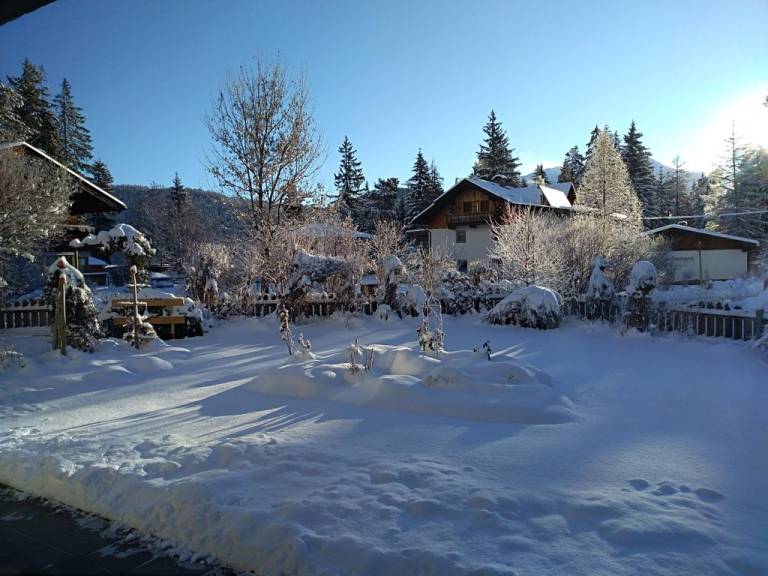foto31