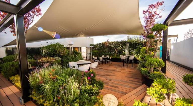 Cantera 10 Hotel Boutique — photo 5