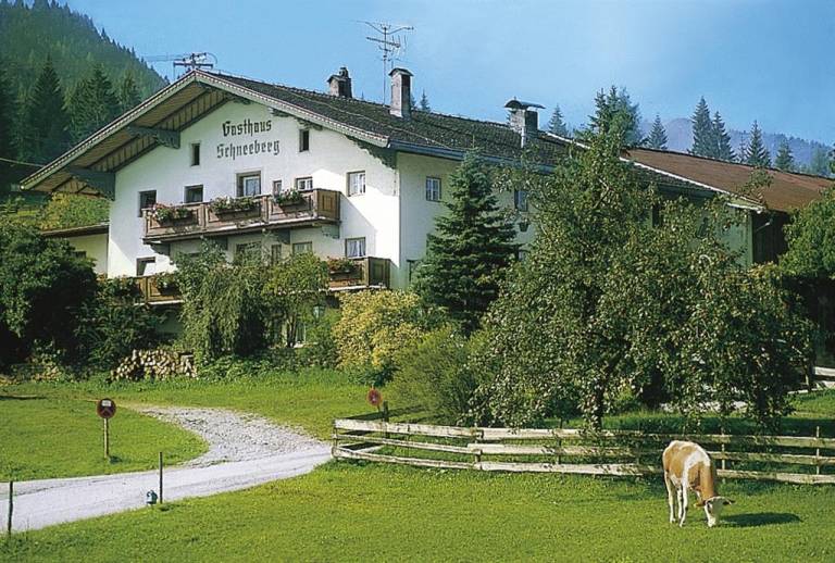Alpengasthof Schneeberg & Chalet — photo 3