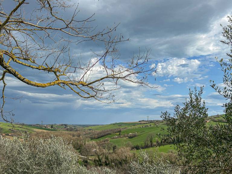 foto11