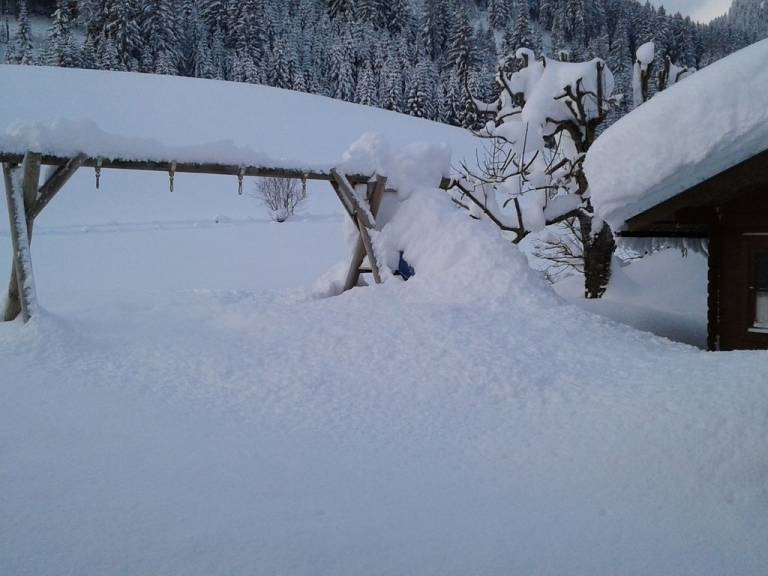 foto31