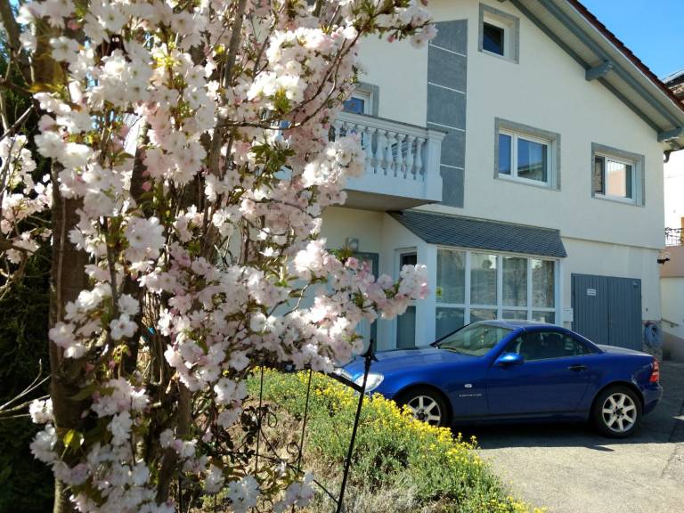 Ferienwohnung Sipplingen
