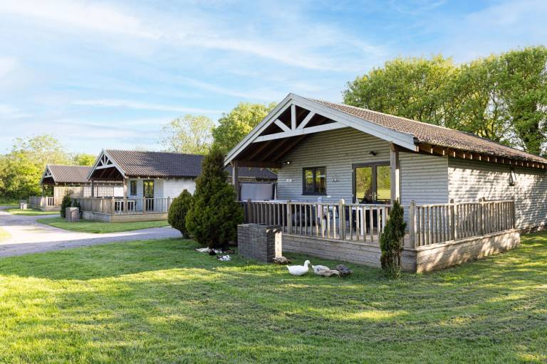 Chalet Compton Dundon