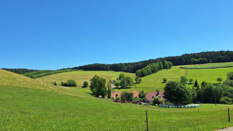 foto9