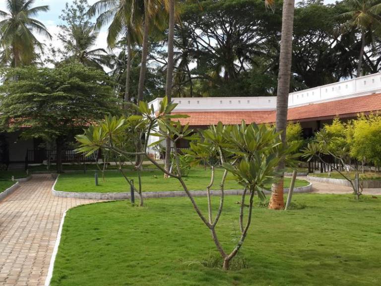 foto11