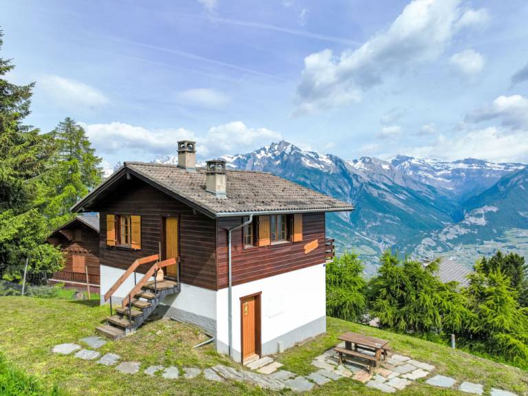 House Nendaz