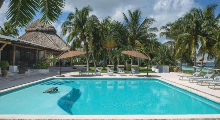 Beautiful villa with pool | Next to the beach | Pet-friendly — photo 4