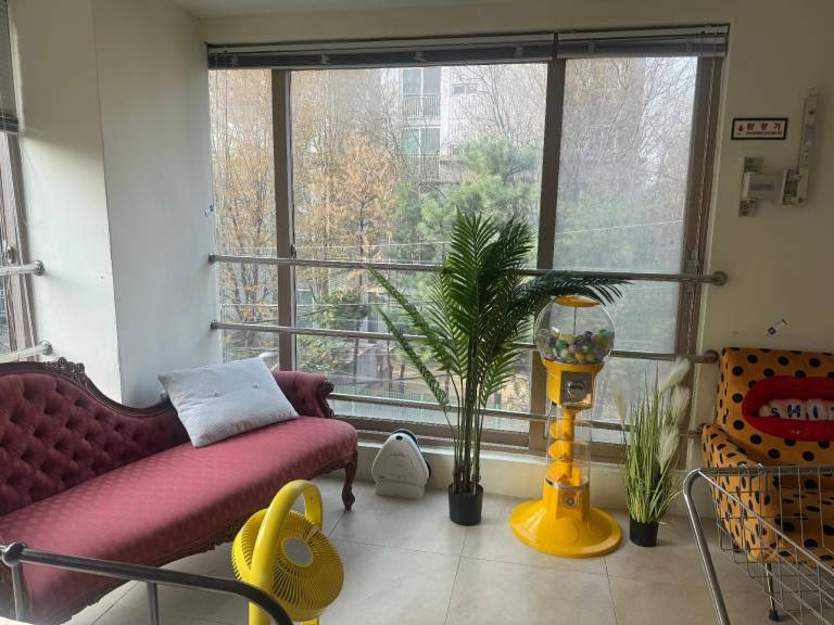 foto10