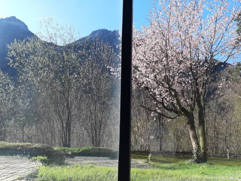 foto21
