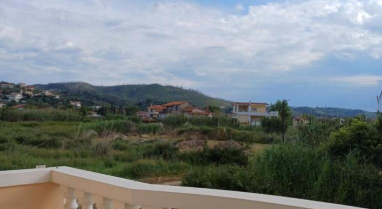 foto14