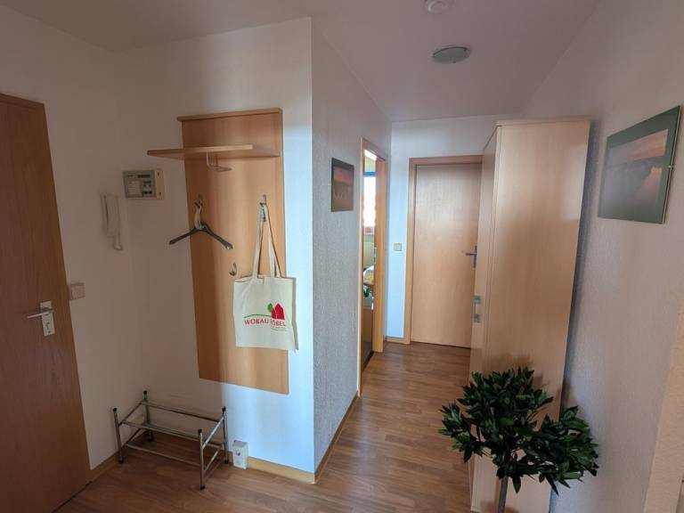 foto6