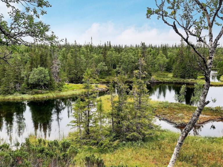 Feriehus  Åre kommun