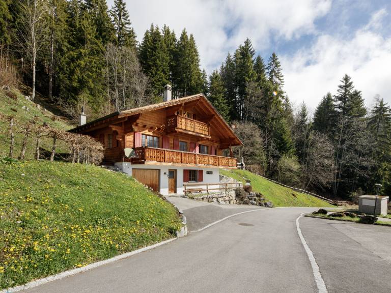Fully equipped beautiful vacation home with yard, barbecue & patio | Next to the ski | Perfect for remote work | Pets allowed in Leysin