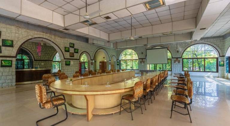 Jungle King Resort — photo 4