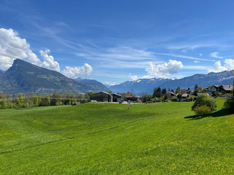 foto12