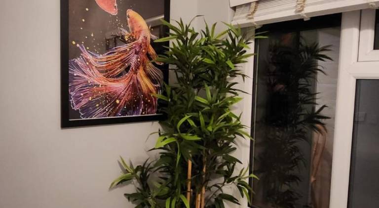 foto7