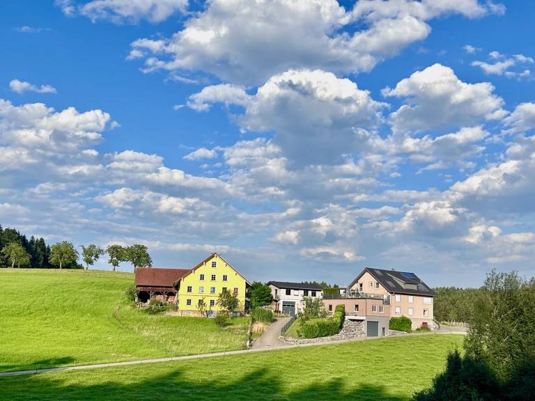 foto15