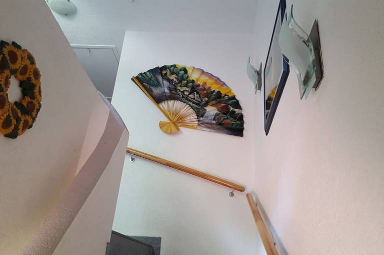 foto8