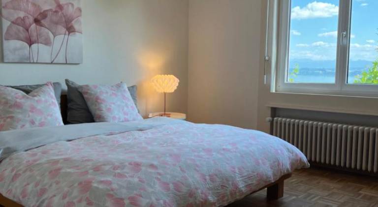 Apartment with 3 rooms for 7 persons in Neuchatel