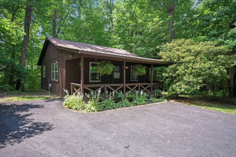 Cabin Gap